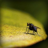 /album/iphonecase512/photolia-a07-jpg/