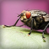 /album/iphonecase512/photolia-a08-jpg/